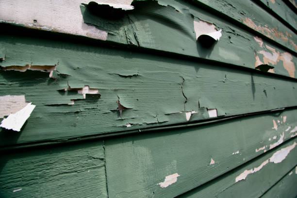 Best Siding Painting and Refinishing  in Novato, CA