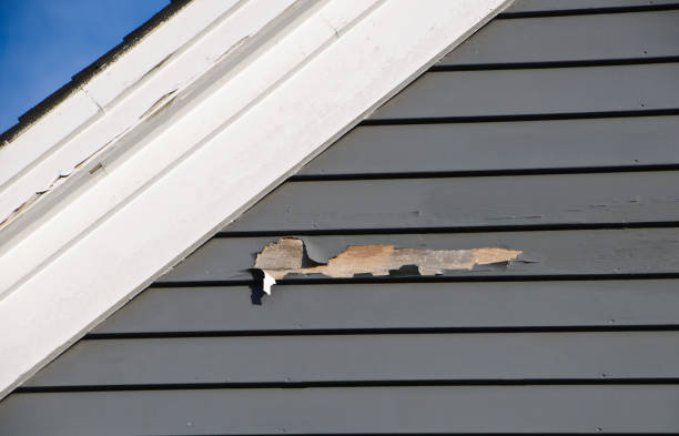 Best Storm Damage Siding Repair  in Novato, CA